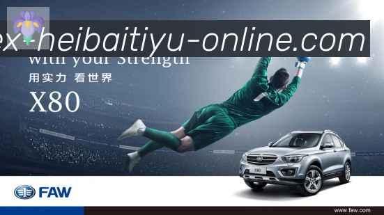 平台使命图